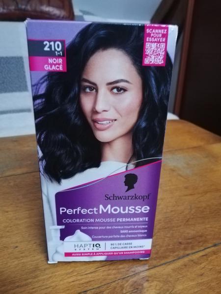 Color. Schwarzkof Perfect Mousse 210 noir glaçé