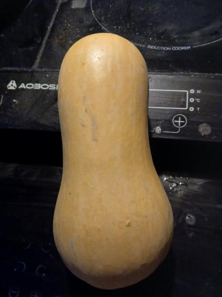 H bi Recherche fermes avec animaux / males /