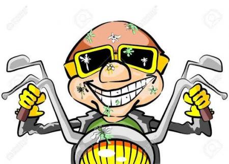 Recherche amis (ies) motards et passionnés de moto